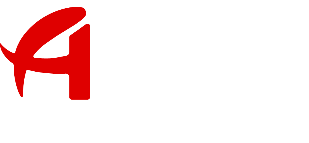 Anis* Logo